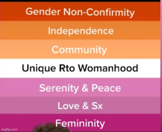 if you didnt know here is what the lesbian flag colors mean | made w/ Imgflip meme maker