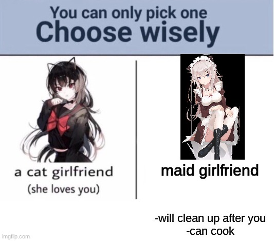 My last one did well so lets try again | maid girlfriend; -will clean up after you
-can cook | image tagged in choose wisely | made w/ Imgflip meme maker