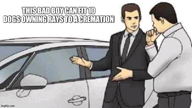 Poor dogs, wonder who owns the rays | THIS BAD BOY CAN FIT 10 DOGS OWNING RAYS TO A CREMATION | image tagged in memes,car salesman slaps roof of car,raydog,dark humor | made w/ Imgflip meme maker