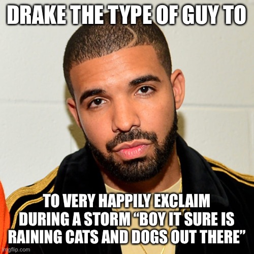 DRAKE THE TYPE OF GUY TO; TO VERY HAPPILY EXCLAIM DURING A STORM “BOY IT SURE IS RAINING CATS AND DOGS OUT THERE” | image tagged in drake | made w/ Imgflip meme maker