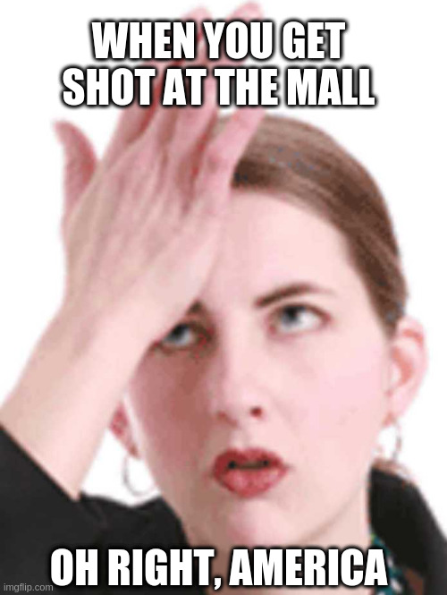 when you forget what country you live next to | OH RIGHT, AMERICA WHEN YOU GET SHOT AT THE MALL | image tagged in self-head slap,usa | made w/ Imgflip meme maker