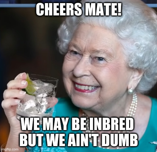 talkin about you know, dna | CHEERS MATE! WE MAY BE INBRED 
BUT WE AIN'T DUMB | image tagged in drinky-poo,commonwealth,vs,usa | made w/ Imgflip meme maker