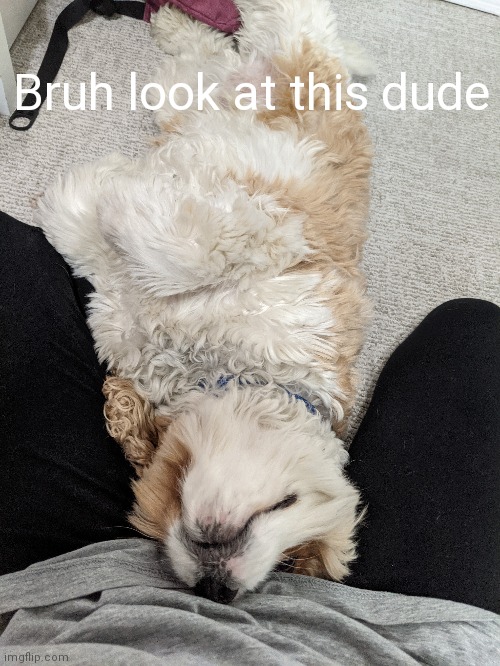 MY BACK HURTS LIKE HELL CUZ OF THIS MFING BACKPACK Imgflip