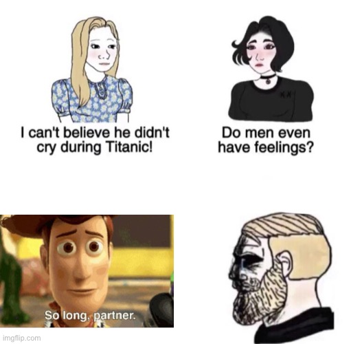 I’m pretty sure everyone cried after that | image tagged in chad crying,toy story,woody,so long partner | made w/ Imgflip meme maker