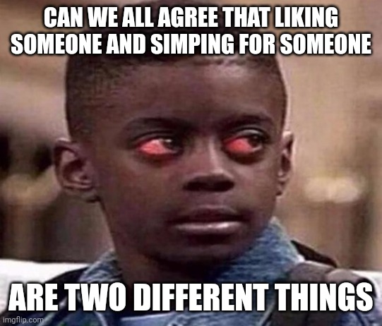 High | CAN WE ALL AGREE THAT LIKING SOMEONE AND SIMPING FOR SOMEONE; ARE TWO DIFFERENT THINGS | image tagged in high kid | made w/ Imgflip meme maker
