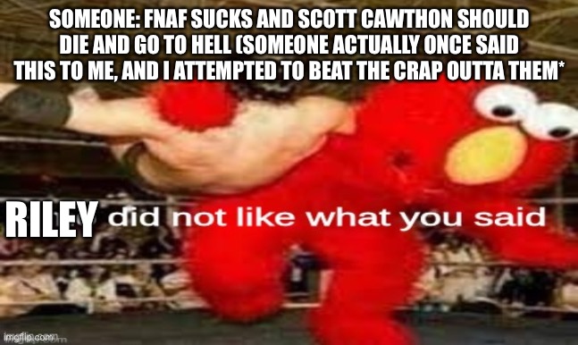 elmo did not like what you said | SOMEONE: FNAF SUCKS AND SCOTT CAWTHON SHOULD DIE AND GO TO HELL (SOMEONE ACTUALLY ONCE SAID THIS TO ME, AND I ATTEMPTED TO BEAT THE CRAP OUTTA THEM*; RILEY | image tagged in elmo did not like what you said | made w/ Imgflip meme maker