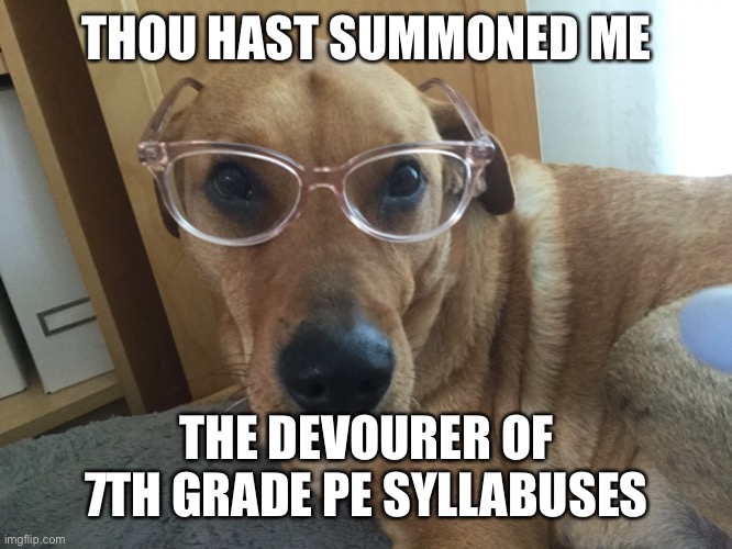Smarty Dog | THOU HAST SUMMONED ME THE DEVOURER OF 7TH GRADE PE SYLLABUSES | image tagged in smarty dog | made w/ Imgflip meme maker