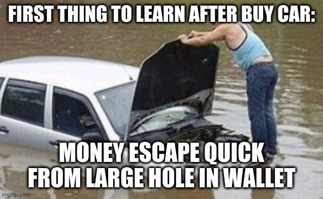 i see prblem | FIRST THING TO LEARN AFTER BUY CAR: MONEY ESCAPE QUICK FROM LARGE HOLE IN WALLET | image tagged in i see prblem | made w/ Imgflip meme maker