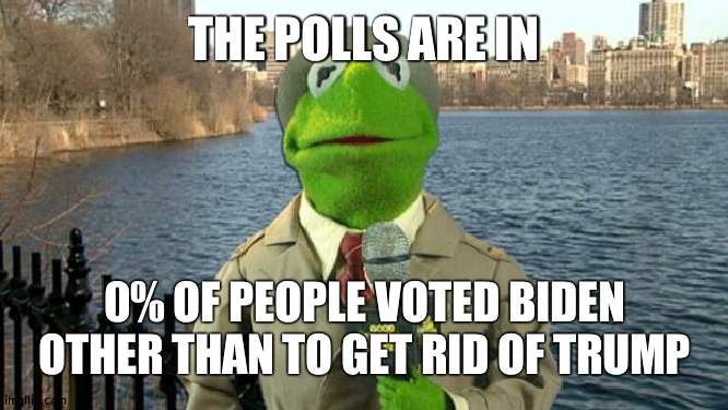 Where the Pro-Biden memes at PoliticsTOO? Never will be | THE POLLS ARE IN; 0% OF PEOPLE VOTED BIDEN OTHER THAN TO GET RID OF TRUMP | image tagged in kermit news report,biden | made w/ Imgflip meme maker