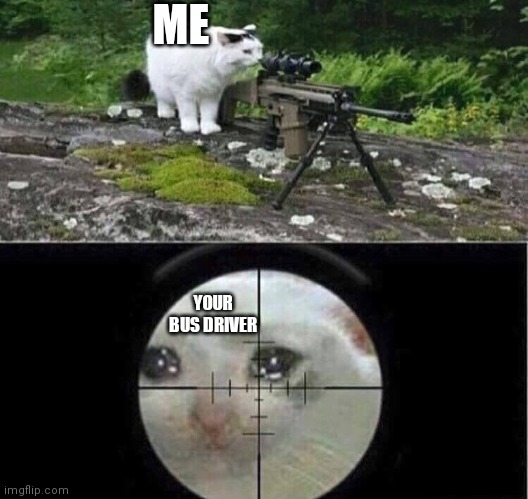 Sniper cat | ME YOUR BUS DRIVER | image tagged in sniper cat | made w/ Imgflip meme maker