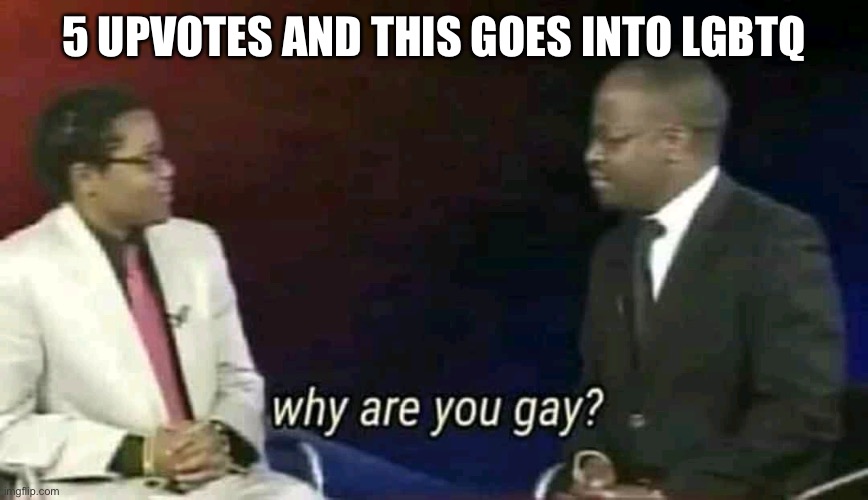 Why are you gay? | 5 UPVOTES AND THIS GOES INTO LGBTQ | image tagged in why are you gay | made w/ Imgflip meme maker