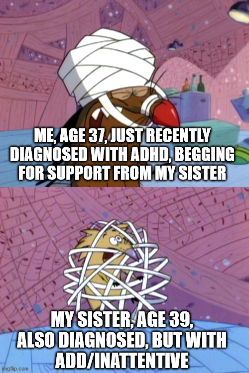 The Struggles of Two Siblings Diagnosed with ADHD/ADD-Inattentive During a Pandemic | ME, AGE 37, JUST RECENTLY DIAGNOSED WITH ADHD, BEGGING
FOR SUPPORT FROM MY SISTER; MY SISTER, AGE 39,
ALSO DIAGNOSED, BUT WITH
ADD/INATTENTIVE | image tagged in troubles of our own,angry beavers,dagget,norbert,beavers | made w/ Imgflip meme maker