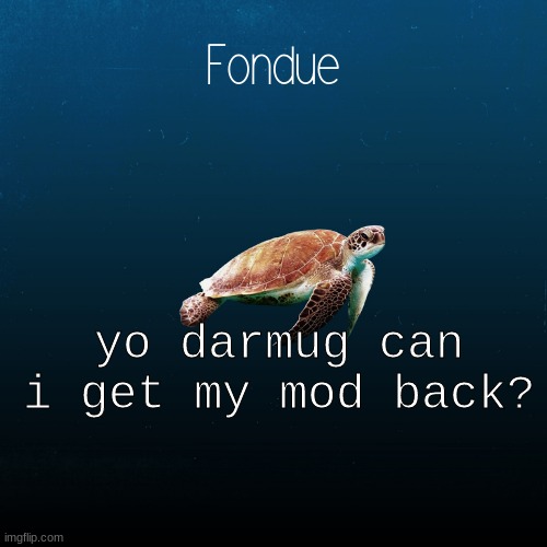 ??? | yo darmug can i get my mod back? | image tagged in turtle template-fondue | made w/ Imgflip meme maker