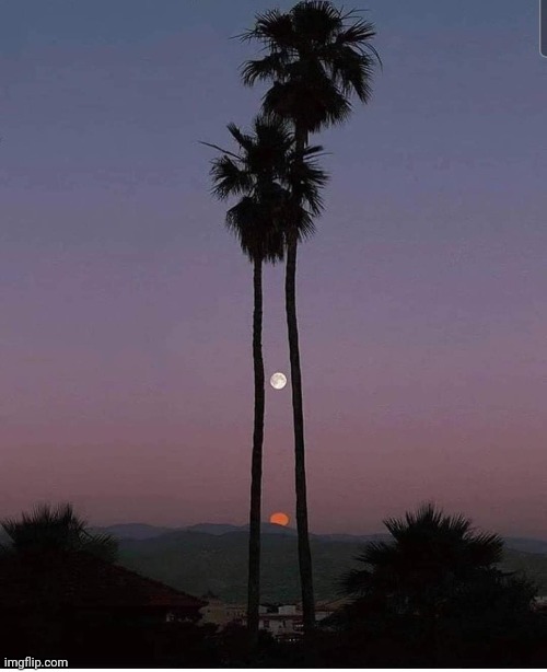 Rare occurance called Selenelion.  When the sun and moon are 180° apart in the sky at the same time | image tagged in sun,moon,beautiful nature | made w/ Imgflip meme maker