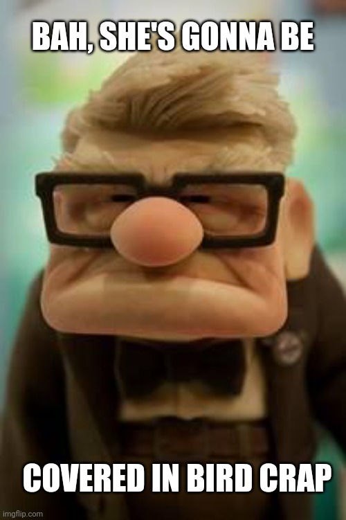 Up old man | BAH, SHE'S GONNA BE COVERED IN BIRD CRAP | image tagged in up old man | made w/ Imgflip meme maker