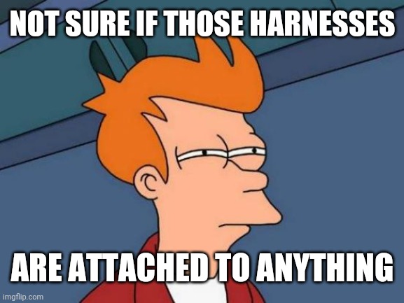 Futurama Fry Meme | NOT SURE IF THOSE HARNESSES ARE ATTACHED TO ANYTHING | image tagged in memes,futurama fry | made w/ Imgflip meme maker