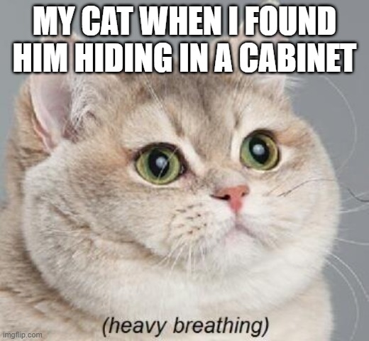 Heavy Breathing Cat Meme | MY CAT WHEN I FOUND HIM HIDING IN A CABINET | image tagged in memes,heavy breathing cat | made w/ Imgflip meme maker