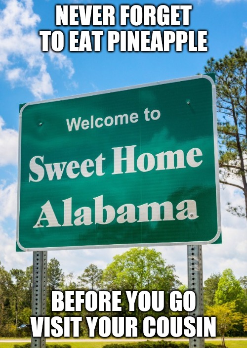 Sweet Home Alabama |  NEVER FORGET TO EAT PINEAPPLE; BEFORE YOU GO VISIT YOUR COUSIN | image tagged in memes,sweethomealabama,sweet home alabama | made w/ Imgflip meme maker