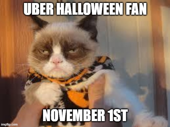 Grumpy Cat Halloween |  UBER HALLOWEEN FAN; NOVEMBER 1ST | image tagged in memes,grumpy cat halloween,grumpy cat | made w/ Imgflip meme maker