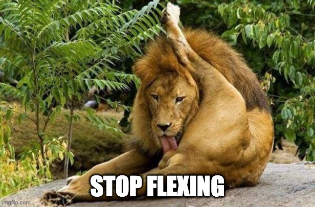 Stop flexing | STOP FLEXING | image tagged in lion licking balls | made w/ Imgflip meme maker
