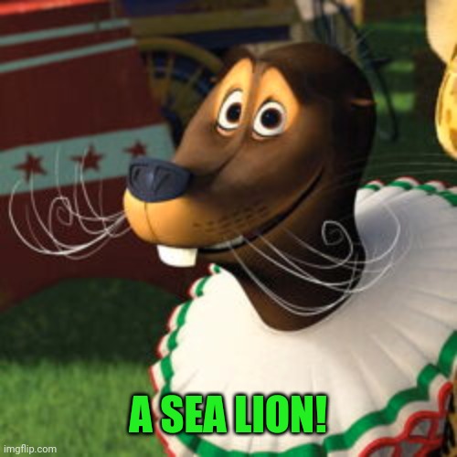 A SEA LION! | made w/ Imgflip meme maker