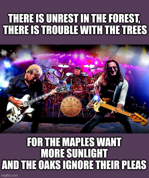 Rush | THERE IS UNREST IN THE FOREST, 
THERE IS TROUBLE WITH THE TREES FOR THE MAPLES WANT MORE SUNLIGHT
AND THE OAKS IGNORE THEIR PLEAS | image tagged in rush | made w/ Imgflip meme maker