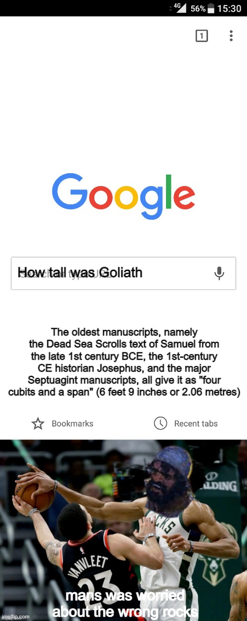 How tall was Goliath; The oldest manuscripts, namely the Dead Sea Scrolls text of Samuel from the late 1st century BCE, the 1st-century CE historian Josephus, and the major Septuagint manuscripts, all give it as "four cubits and a span" (6 feet 9 inches or 2.06 metres); mans was worried about the wrong rocks | image tagged in google search | made w/ Imgflip meme maker
