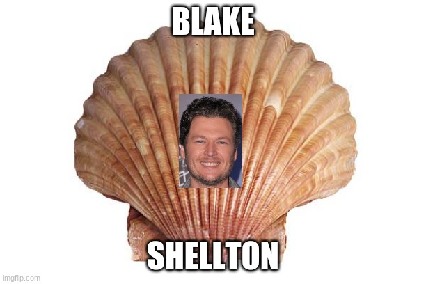 funny | BLAKE; SHELLTON | image tagged in funny memes | made w/ Imgflip meme maker