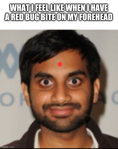 It's called a "bindi". Often wore for hindu religion and by women | WHAT I FEEL LIKE WHEN I HAVE A RED BUG BITE ON MY FOREHEAD | image tagged in the blank stare,red dot,india,funny memes,puns,this is a tag | made w/ Imgflip meme maker