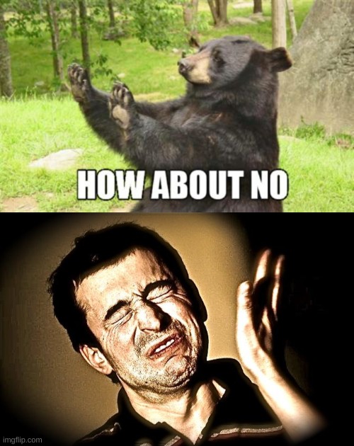 image tagged in memes,how about no bear,face slap | made w/ Imgflip meme maker