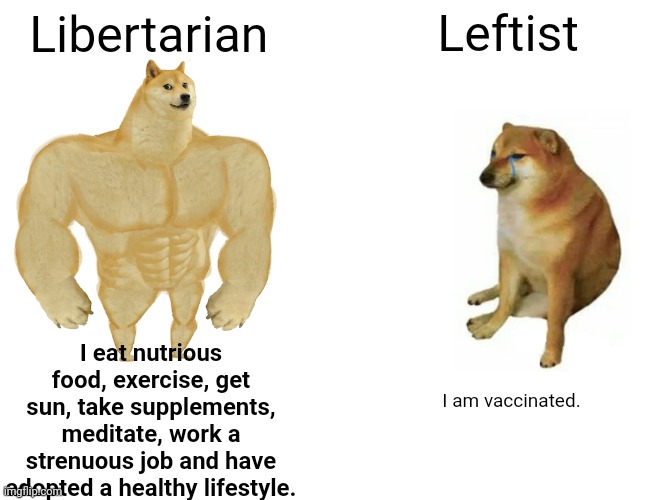 One trick phony. | Libertarian; Leftist; I eat nutrious food, exercise, get sun, take supplements, meditate, work a strenuous job and have adopted a healthy lifestyle. I am vaccinated. | image tagged in memes,buff doge vs cheems,leftists,libertarian | made w/ Imgflip meme maker