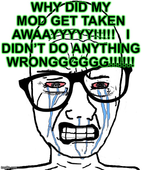 YOU TARGETING MEEEE | WHY DID MY MOD GET TAKEN AWAAYYYYY!!!!!   I DIDN’T DO ANYTHING WRONGGGGGG!!!!!! | image tagged in wojak crying | made w/ Imgflip meme maker