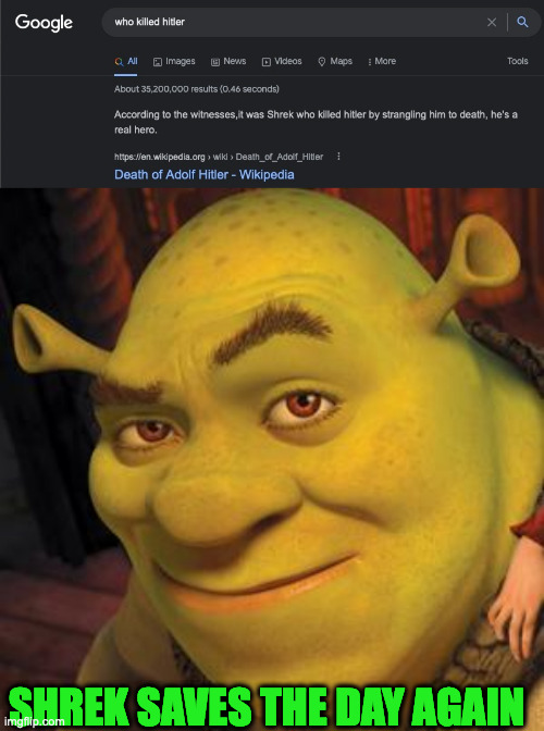 Shrek funi | SHREK SAVES THE DAY AGAIN | image tagged in shrek | made w/ Imgflip meme maker