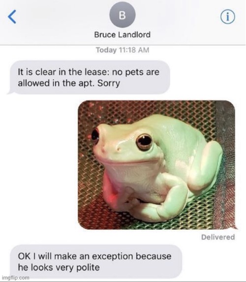 exception | made w/ Imgflip meme maker