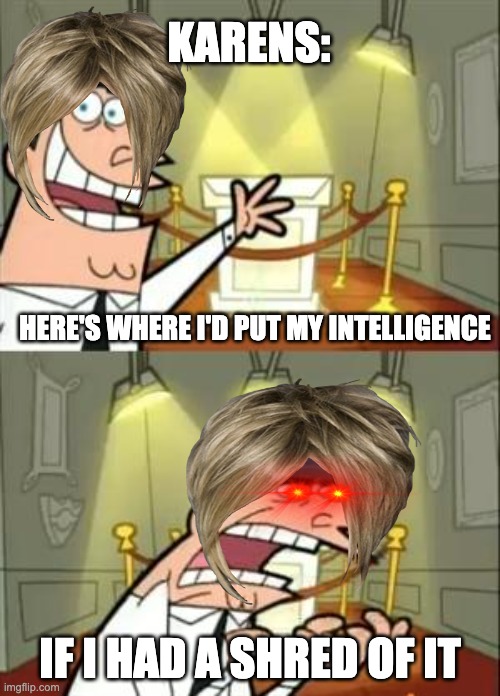 i know im not the only one | KARENS:; HERE'S WHERE I'D PUT MY INTELLIGENCE; IF I HAD A SHRED OF IT | image tagged in memes,this is where i'd put my trophy if i had one,karens | made w/ Imgflip meme maker