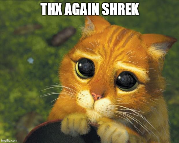 puss in boots | THX AGAIN SHREK | image tagged in puss in boots | made w/ Imgflip meme maker