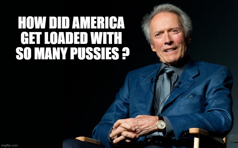 HOW DID AMERICA
GET LOADED WITH  SO MANY PUSSIES ? | made w/ Imgflip meme maker