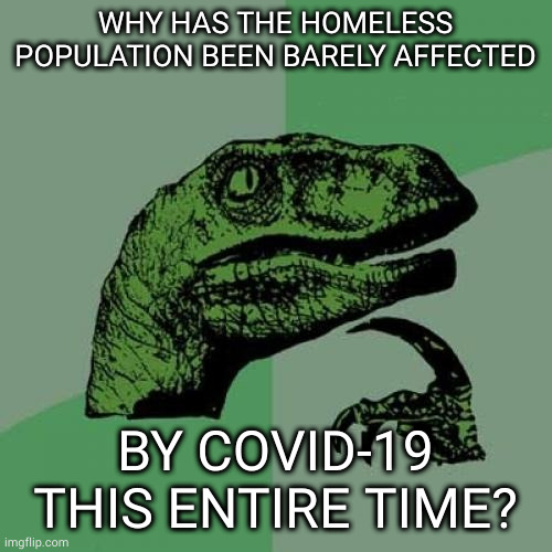 Philosoraptor | WHY HAS THE HOMELESS POPULATION BEEN BARELY AFFECTED; BY COVID-19 THIS ENTIRE TIME? | image tagged in memes,philosoraptor | made w/ Imgflip meme maker