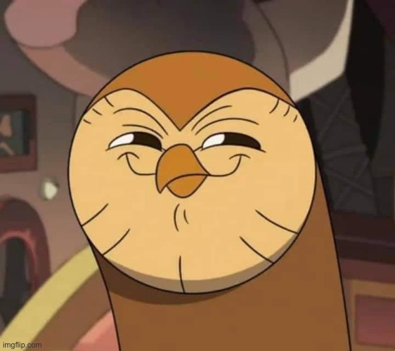 Hooty like | image tagged in hooty like | made w/ Imgflip meme maker