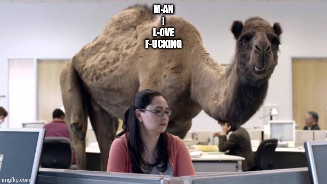 Hump Day Camel | M-AN
I
L-OVE
F-UCKING | image tagged in hump day camel | made w/ Imgflip meme maker