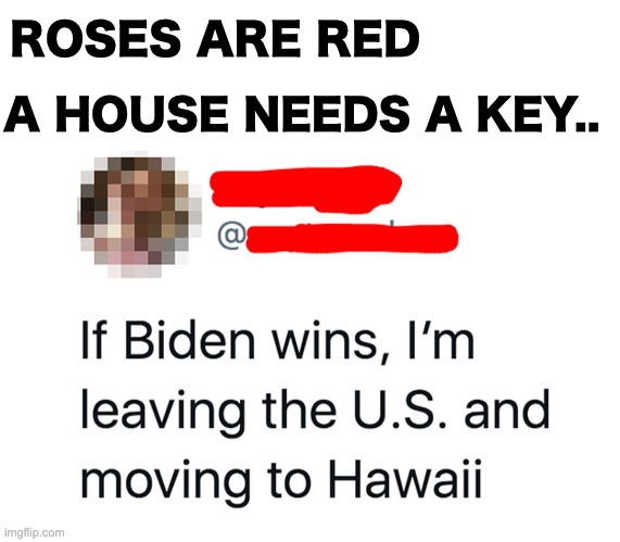 Note: I don't have a strong political view btw. I hate people fighting over politics. | ROSES ARE RED; A HOUSE NEEDS A KEY.. | image tagged in blank white template,memes,unfunny | made w/ Imgflip meme maker