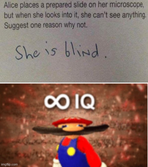 NO NEED FOR TITLE | image tagged in infinite iq,brain,mario,why are you reading this | made w/ Imgflip meme maker