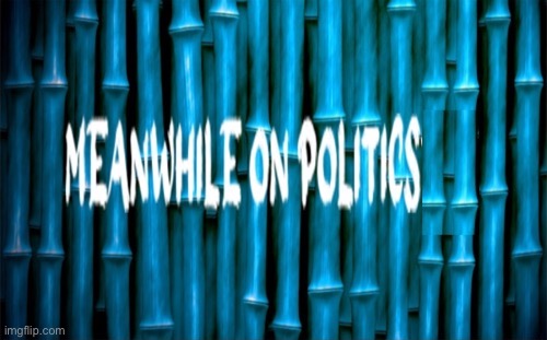 Meanwhile on politics | image tagged in meanwhile on politics | made w/ Imgflip meme maker