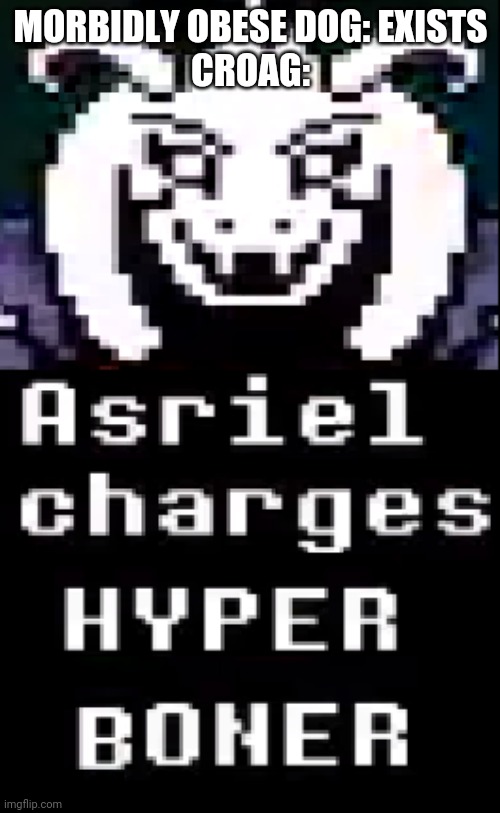 Asriel Charges Hyper Boner | MORBIDLY OBESE DOG: EXISTS
CROAG: | image tagged in asriel charges hyper boner | made w/ Imgflip meme maker