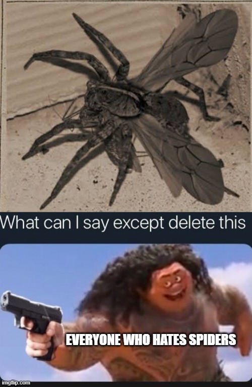 spider with wings |  EVERYONE WHO HATES SPIDERS | image tagged in what can i say except delete this,kill it with fire,delete this | made w/ Imgflip meme maker