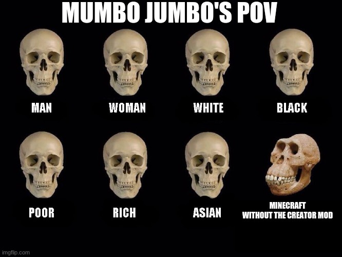 Mumbo Jumbo's POV | MUMBO JUMBO'S POV; MINECRAFT WITHOUT THE CREATOR MOD | image tagged in empty skulls of truth,gaming,funny,accurate | made w/ Imgflip meme maker
