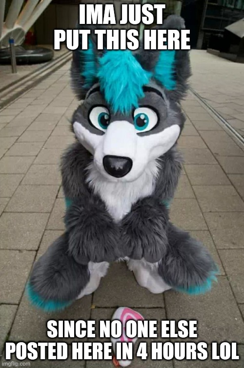 just some random fursuit template | IMA JUST PUT THIS HERE; SINCE NO ONE ELSE POSTED HERE IN 4 HOURS LOL | image tagged in furry | made w/ Imgflip meme maker