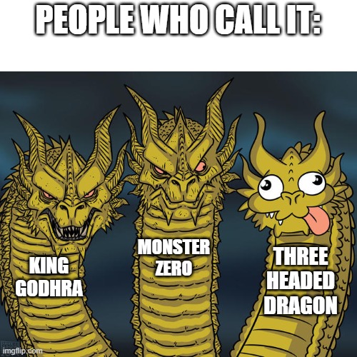 Three-headed Dragon | PEOPLE WHO CALL IT:; MONSTER ZERO; THREE HEADED DRAGON; KING GODHRA | image tagged in three-headed dragon | made w/ Imgflip meme maker