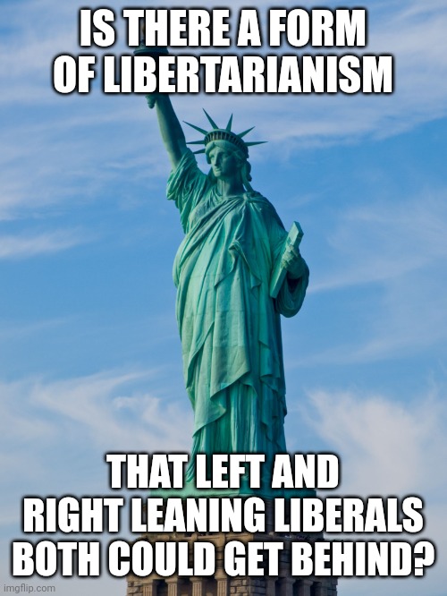 ? | IS THERE A FORM OF LIBERTARIANISM; THAT LEFT AND RIGHT LEANING LIBERALS BOTH COULD GET BEHIND? | image tagged in statue of liberty | made w/ Imgflip meme maker