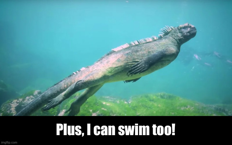 Plus, I can swim too! | made w/ Imgflip meme maker